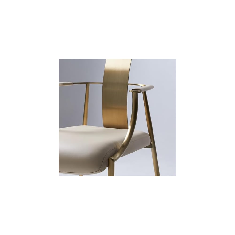 Tea Chair Stainless Steel Table Master Villa Home Dining Armchair Backrest Leisure