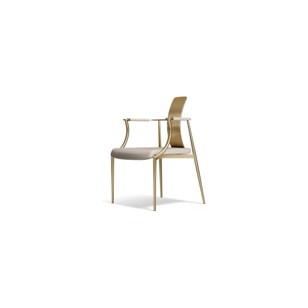 Tea Chair Stainless Steel Table Master Villa Home Dining Armchair Backrest Leisure