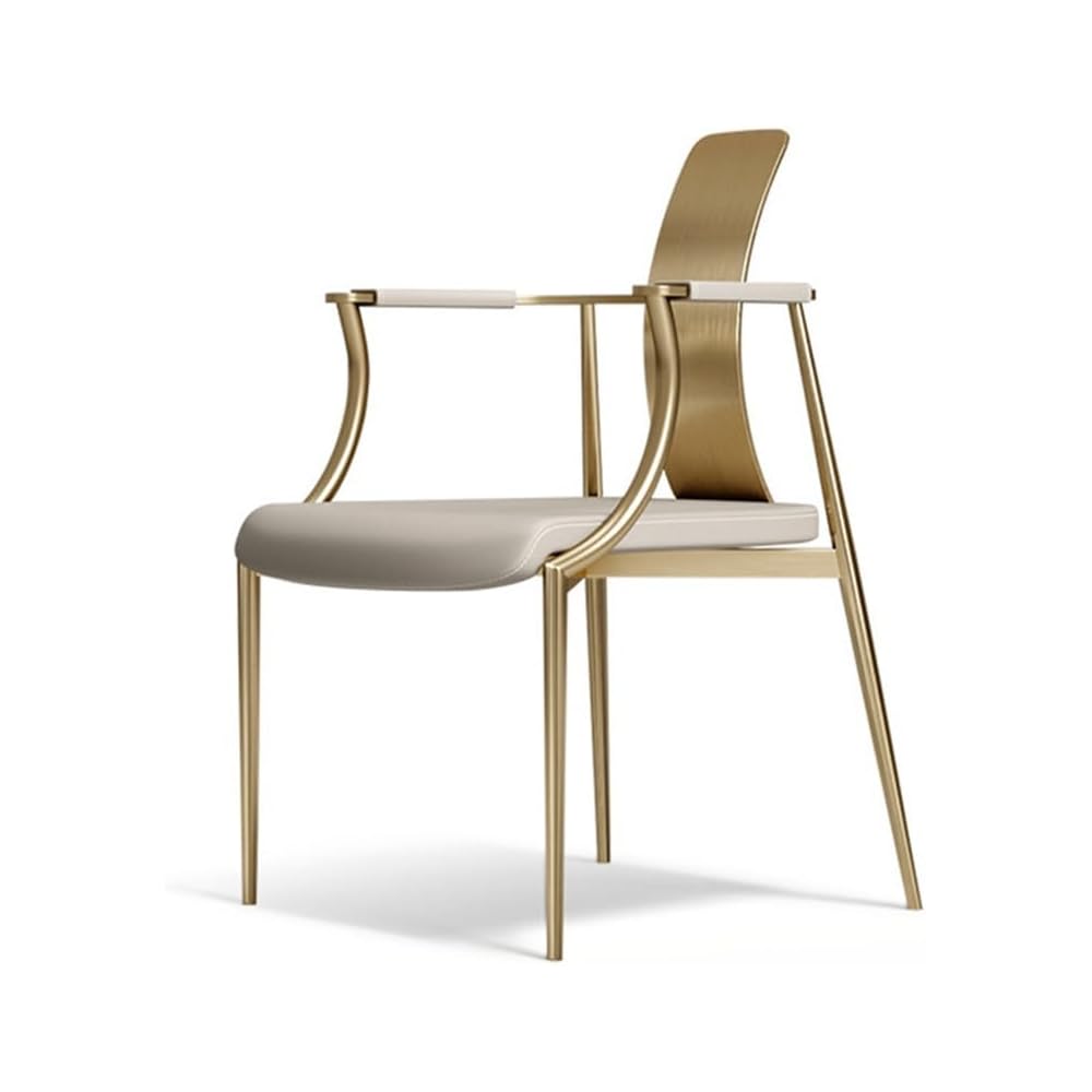 Tea Chair Stainless Steel Table Master Villa Home Dining Armchair Backrest Leisure