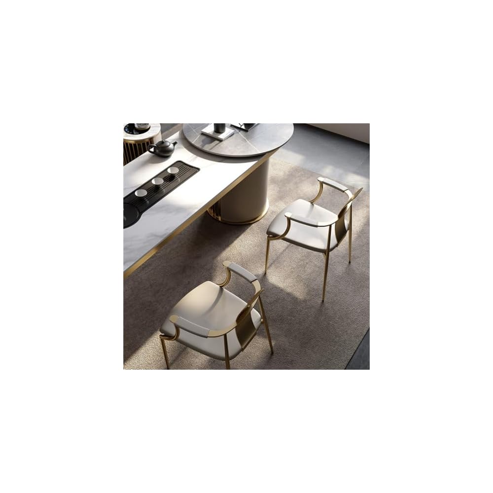 Tea Chair Stainless Steel Table Master Villa Home Dining Armchair Backrest Leisure